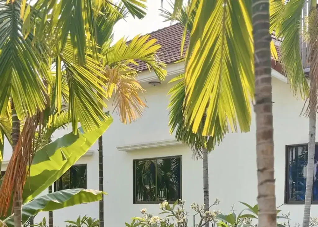 A view of the courtyard at The Urban hotel in Siem Reap, Cambodia. The hotel is painted white and the courtyard is filled with palm trees and white flowers.