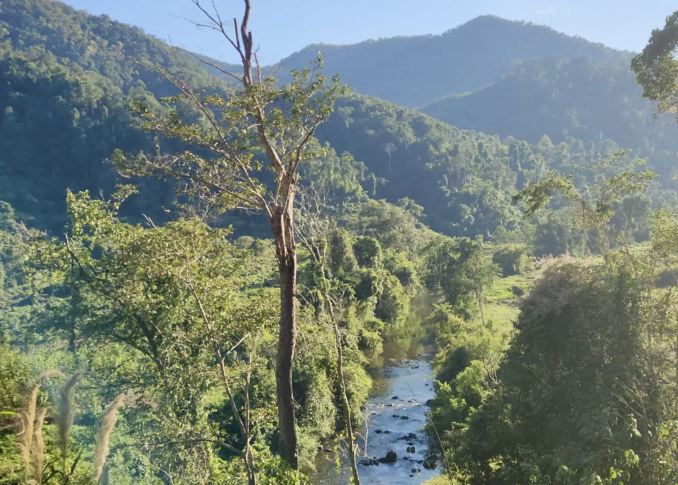 Motorbiking in Laos: Routes, Rentals, Costs & Safety Tips 2 A lush green mountain vista with a river flowing below in Nam Ha National Protected Area in Luang Namtha, Laos.