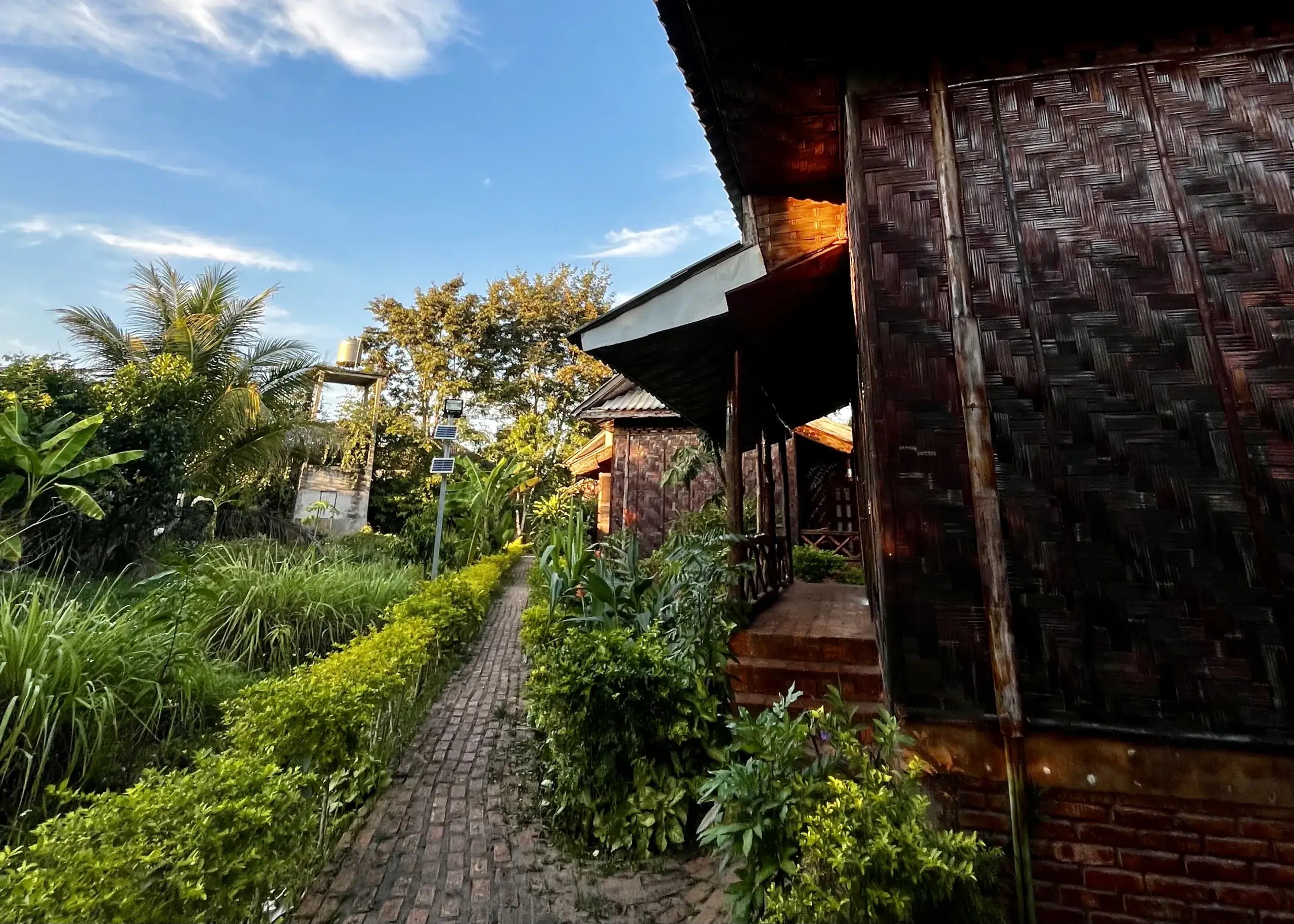 Trekking in Luang Namtha: What to Expect and How to Book 8 The outside of a bamboo bungalow at Phou Lu III Bungalows in Luang Namtha, Laos. The bungalows are a dark brown with a red brick foundation and are surrounded by green shrubs and trees. There is a brick path running along side the bungalows.