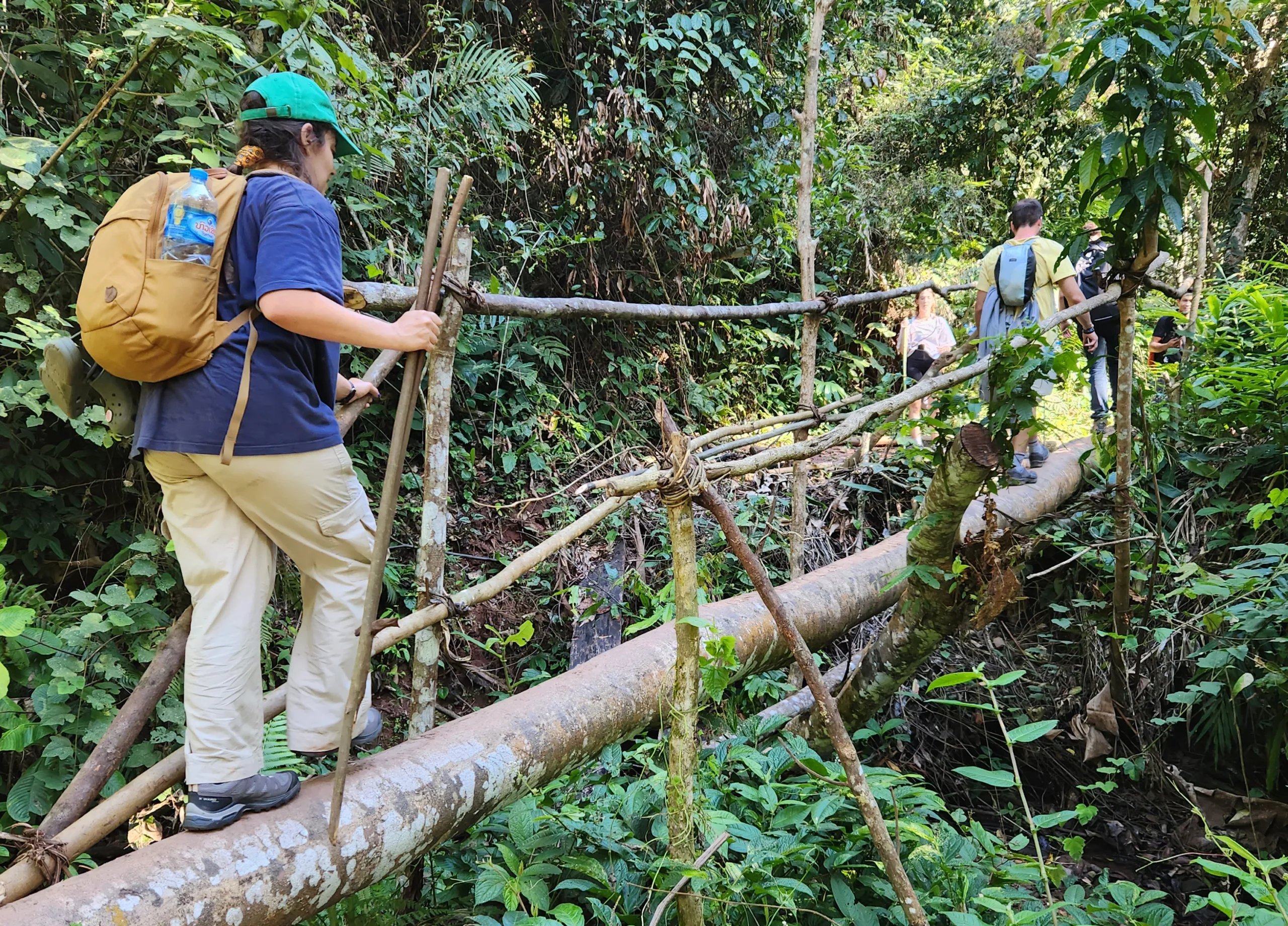 a girl crossing a makeshift tree trunk bridge whilst trekking in Luang Namtha