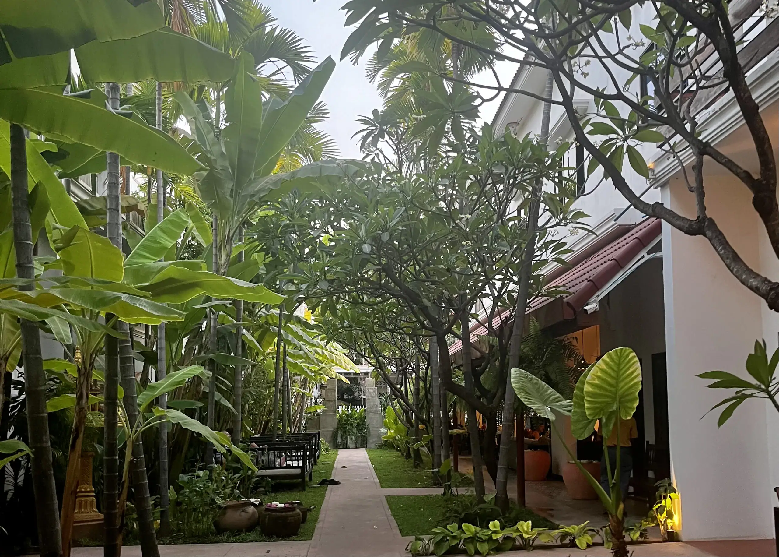 The courtyard of The Urban hotel in Siem Reap, Cambodia is filled with green banana trees, white flowers, and pots filled with water and floating colorful flowers.