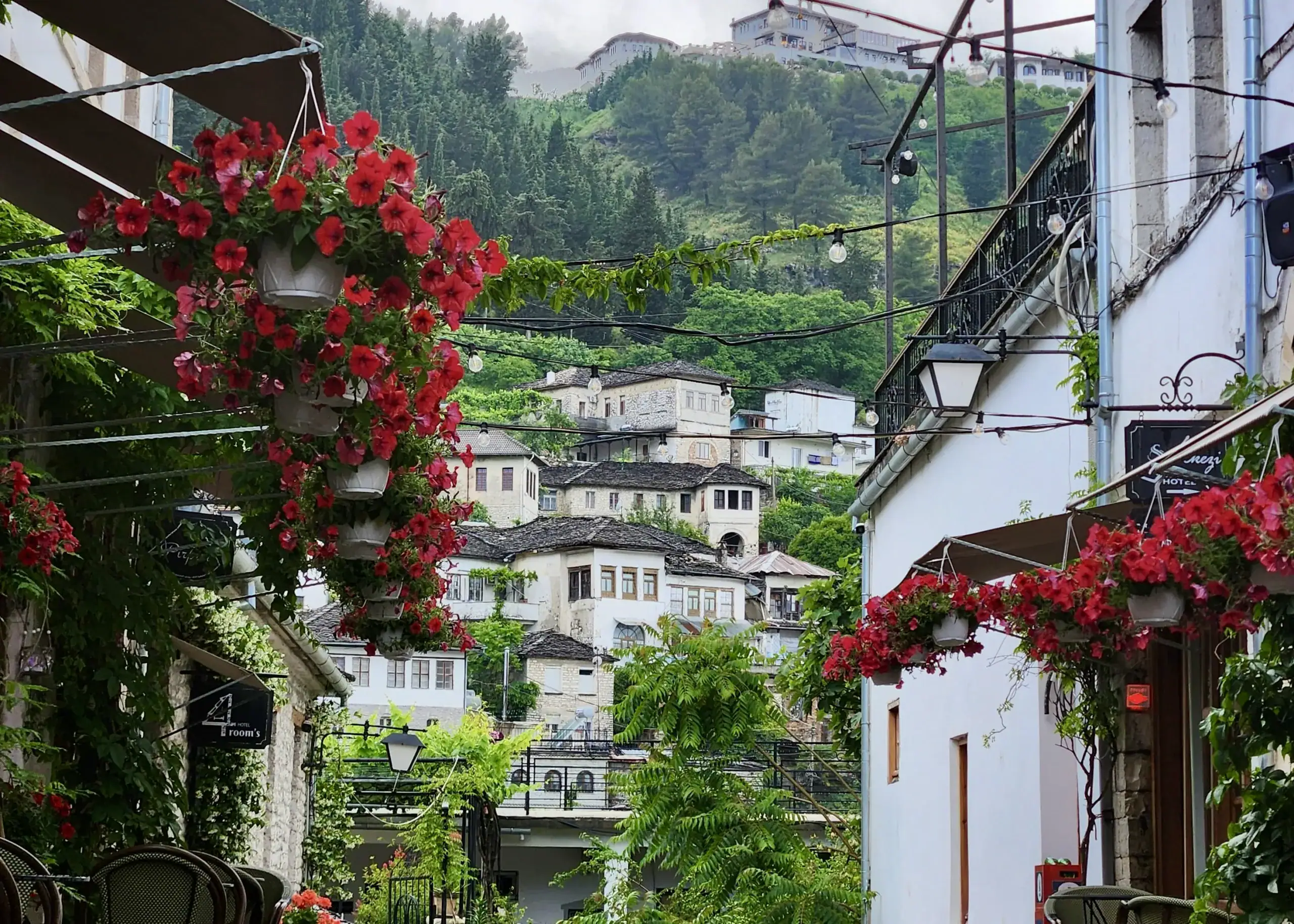 Albania 6 White buildings with pink flowers hanging from them line the streets of Gjirokaster, Albania. The city is very green, with many trees around the city and on the mountains.