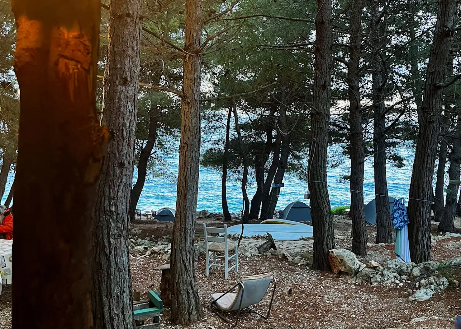 2 Weeks in Albania Without a Car: Mountains, Beaches & Hidden Gems 12 A picture from Sea Cave Camping in Himare. There are tents set up amongst the pine trees and you can see the sea in the distance