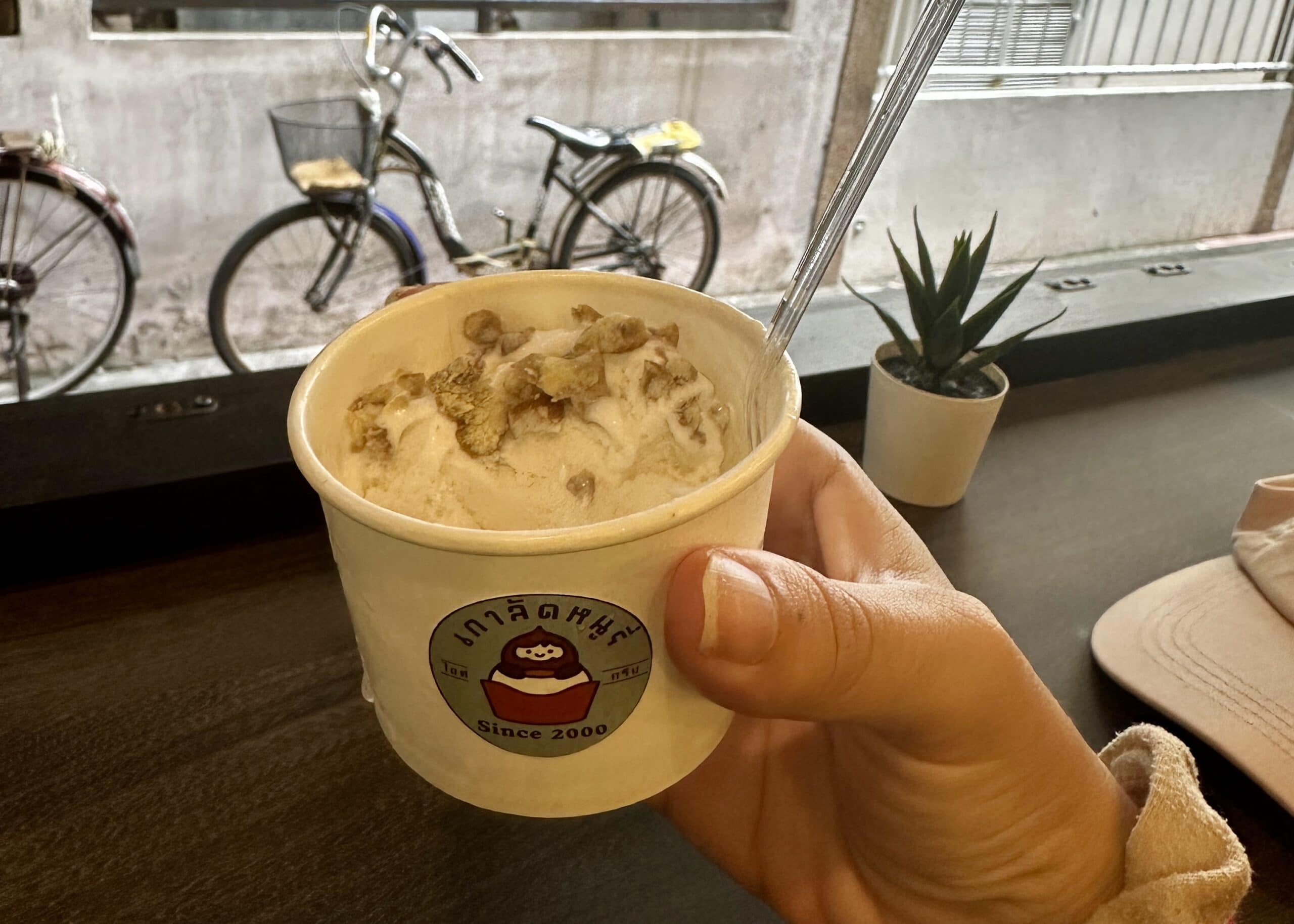 BEST Food in Chinatown Bangkok: What is Actually Worth It 11 A close up of a cup of coconut ice cream with fresh chestnuts on top. A woman's hand is holding the cup over the bar counter in the shop and the cute shop sticker for Nuury Chestnut Ice Cream is displayed on the cup.