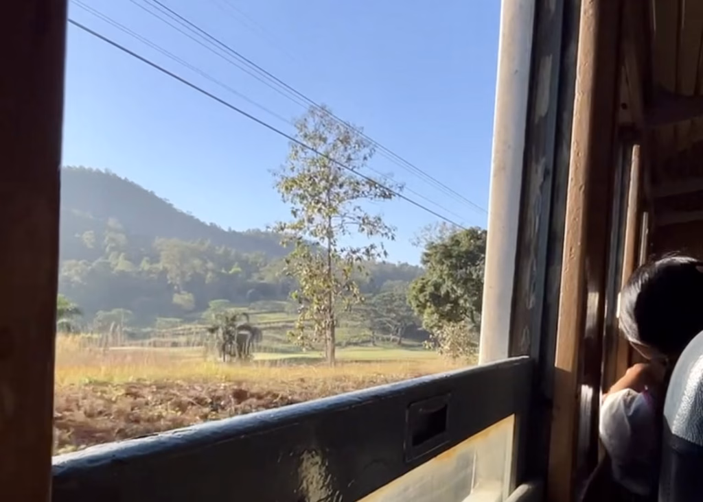 Where to Stay in Chiang Dao: 3 Best Areas & Top Picks 9 The photo is taken out the window of the train from Bangkok to Koh Tao. It is early in the journey, so the sky is still blue. The window frame is made from brown wood and a girl is peering out the window in the seats ahead.