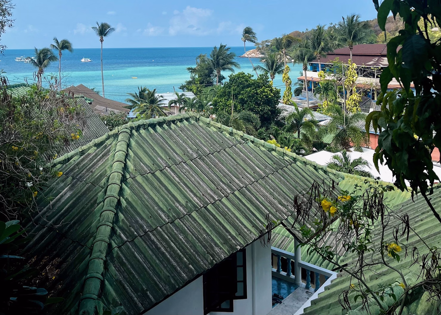 Best Snorkeling in Koh Tao: Local Tips, Top Tours & Hidden Gems 5 The view from the balcony of the seaview bungalows at JP Resort. The green roofs of the bungalows lead to a view of the palm trees and bright blue water at the beach.