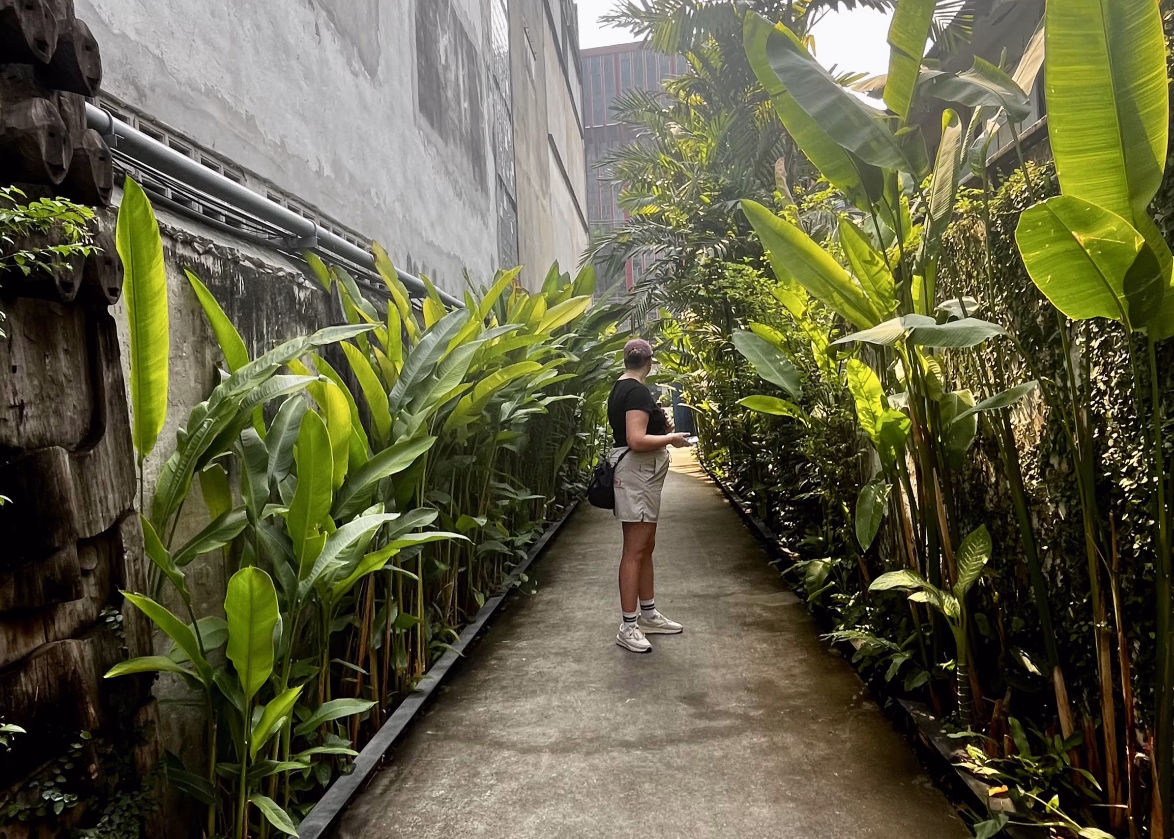 BEST Food in Chinatown Bangkok: What is Actually Worth It 17 A girl in grey shorts and a black top is stood in an alley in Bangkok. Either side are lots of greenery lining the path