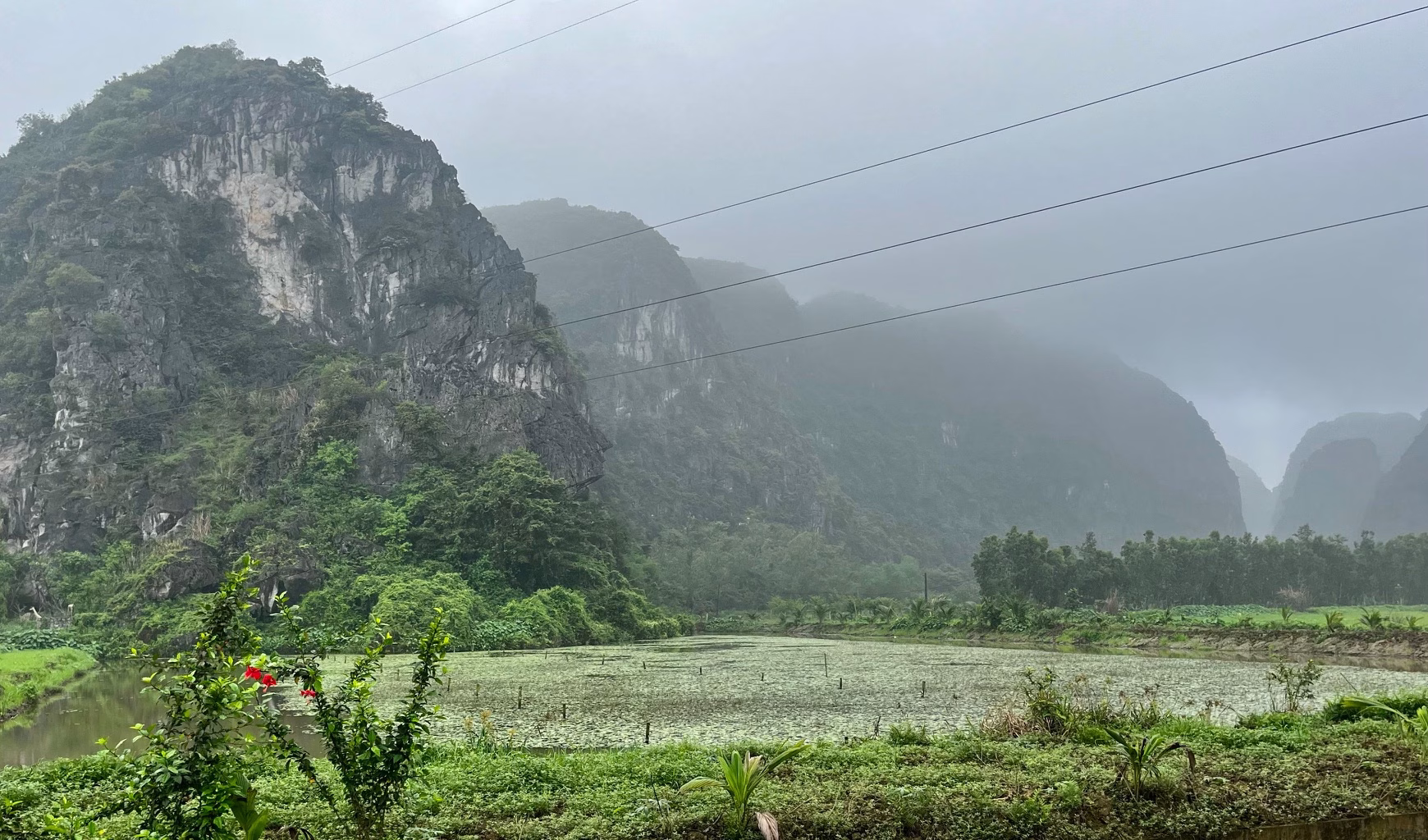 4 Week Vietnam Itinerary: Laid-Back Adventures on a Budget 11 Misty karst mountains are looming over a rice field outside of Tam Coc.