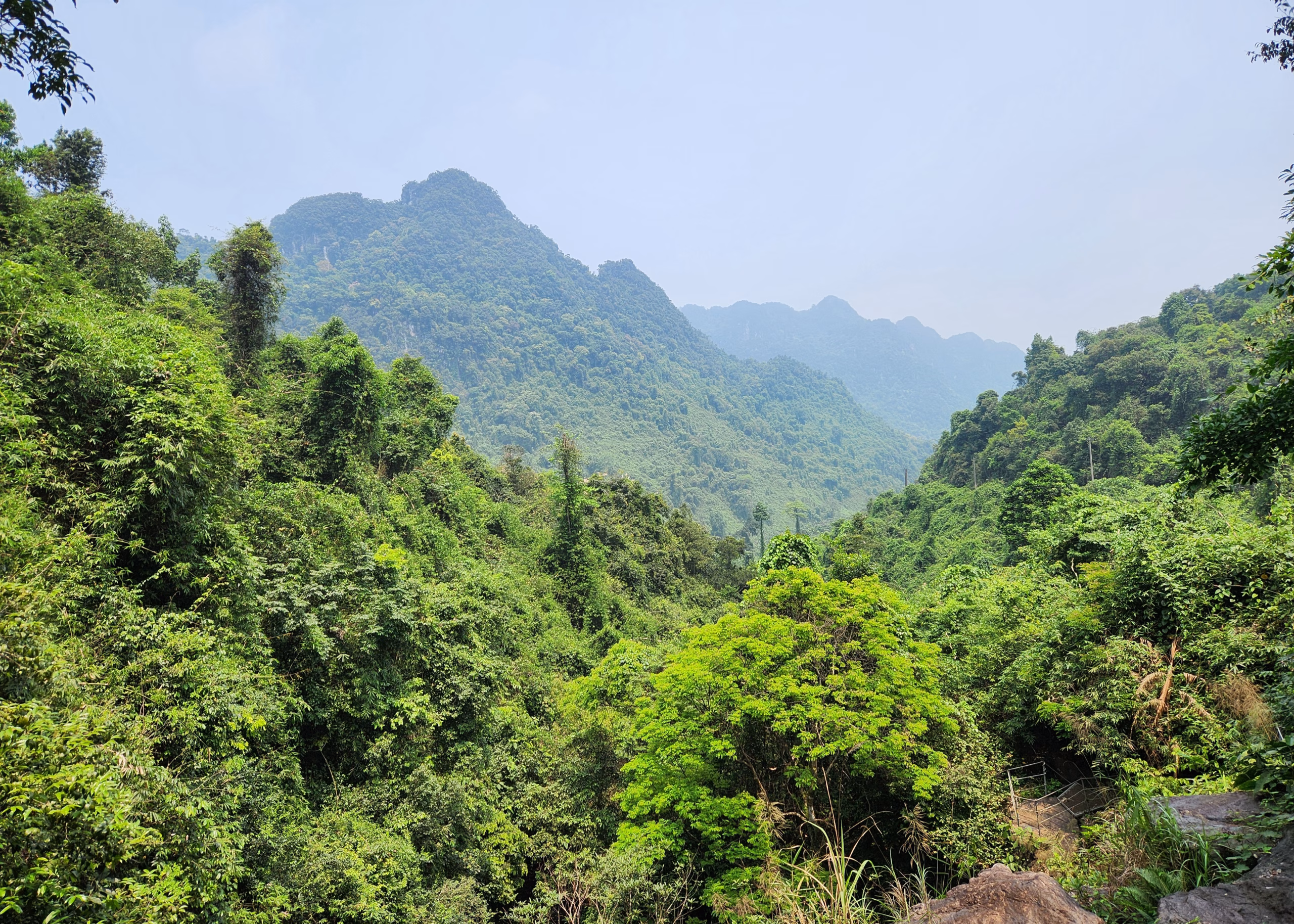 Phong Nha or Ninh Binh: Which One Should You Visit? 10 A typical Phong Nha landscape. There are cascades of mountains out in the distance, with lots of trees in the foreground