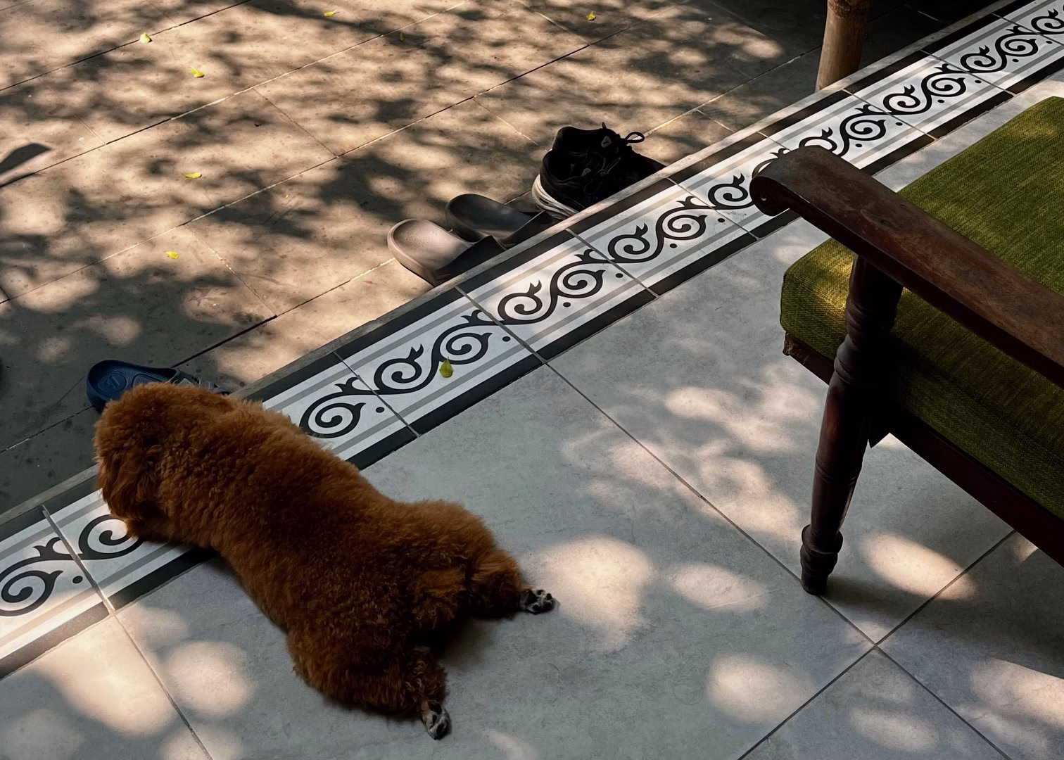 Hoi An Itinerary: 3 Days of Food & Lantern-Lit Charm 9 A brown dog is sat next to a chair on a tiled floor