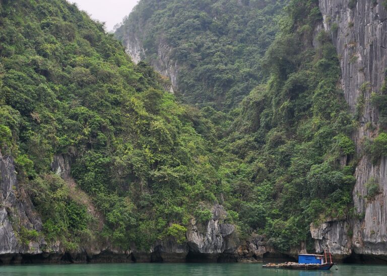 A boat is made to look very small while cruising past the limestone karst mountains on Halong Bay. The sky is gloomy and misty.