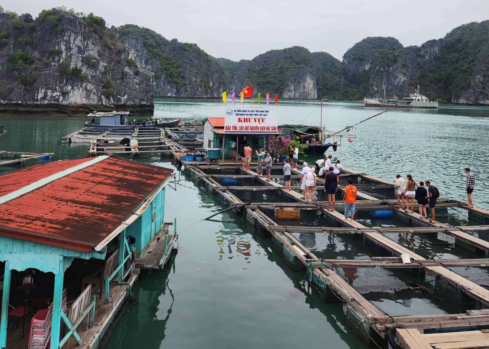 7 Best Places to Go in Vietnam (And What They’re Really Best For) 11 A traditional fishing set up is floating on the water in Halong Bay. There are wood squares floating on the water that fish are farmed inside of.