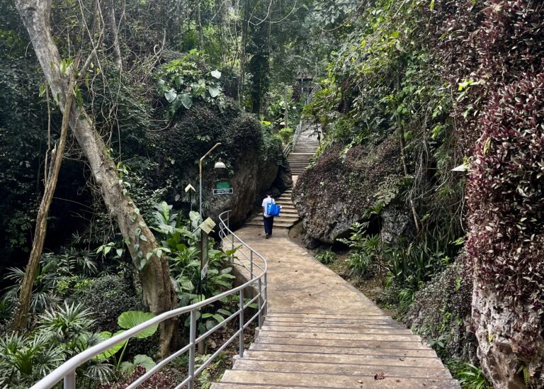 A man is walking up the stairs of a wat in Chiang Dao Thailand. The stairs are very long and are surrounded by trees and brush covering the mountains around. This area is a great option when considering where to stay in Chiang Dao.
