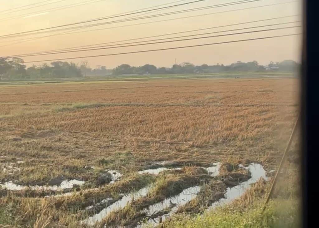 Bangkok to Chiang Mai Travel Guide — How to Get There by Train, Bus & Plane 10 A pink-orange sunrise over rice fields captured from the window of a bus driving from Bangkok to Chiang Mai.