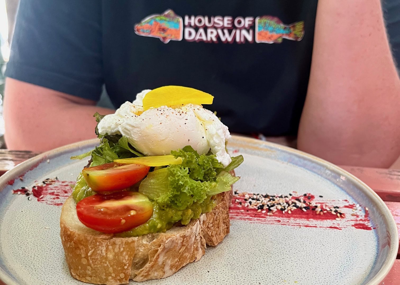 Where to Stay in Hoi An (3 Best Areas + Stays We’d Book) 6 A person wearing a "House of Darwin" t-shirt enjoying a colorful breakfast in a cozy café.