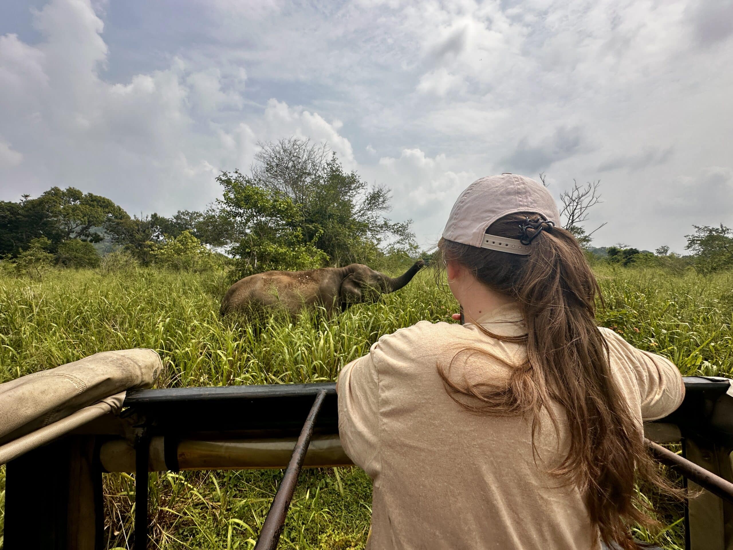 About The Lavender Travelers 4 Traveler on a safari jeep watching a wild elephant standing in tall grass in Sri Lanka.